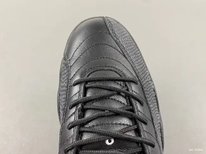 The 130690-013 Jordan Retro Master 12 Air 0522